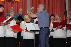 20 let MepZ DU MIrna, foto JSKD OI Trebnje (5)